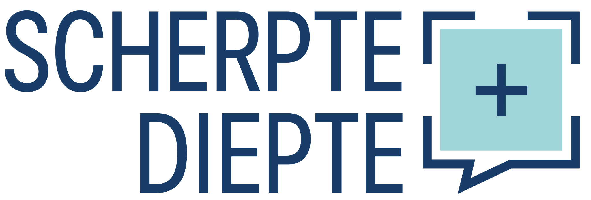 Scherpte-Diepte-logo-blauw-3-2048x694